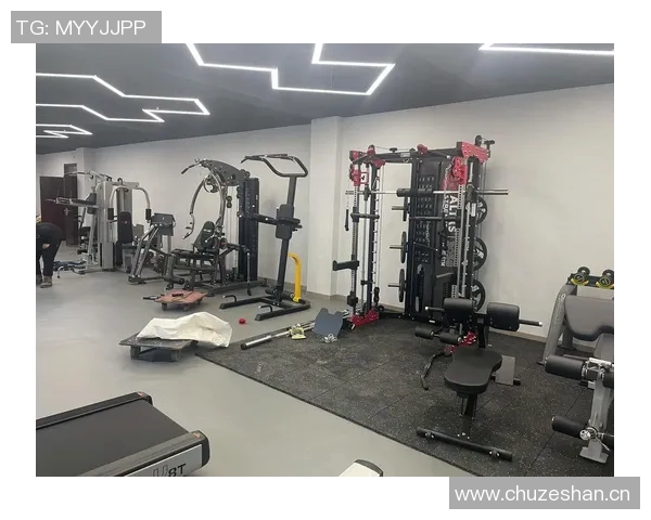 精品健身器材推荐与使用体验分享